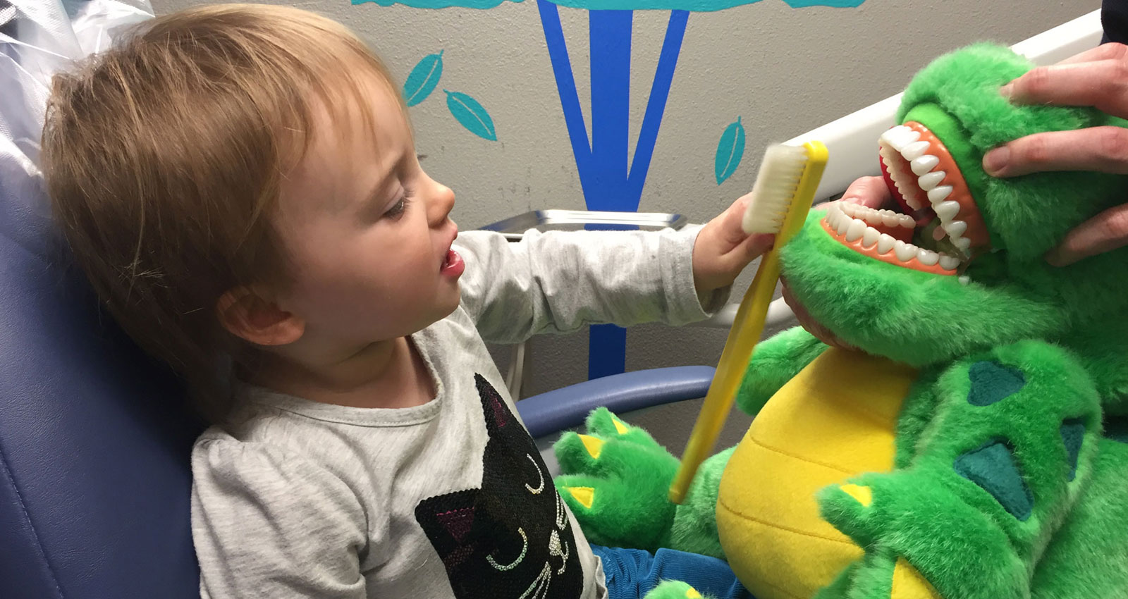 BoardCertified Kids Dentist Kenmore, WA Kenmore Pediatric Dentistry